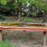 photo 2021-04-27 08-31-33