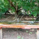 photo 2021-08-08 15-41-50