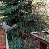 photo 2021-11-12 14-24-28