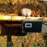 photo 2021-02-22 15-57-08