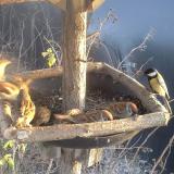 photo 2019-12-27 14-54-40