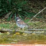 photo 2021-05-13 12-42-54 madarkak