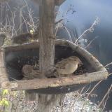 photo 2019-12-29 13-22-22