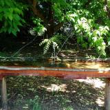 photo 2021-05-21 10-22-54