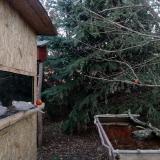 photo 2021-12-31 15-46-24