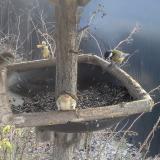 photo 2019-12-31 11-41-12