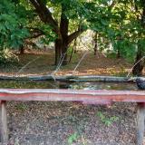 photo 2021-07-04 05-54-46