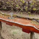 photo 2021-04-08 09-55-57