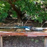 photo 2021-09-08 16-37-23