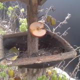 photo 2019-12-04 10-20-21