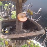 photo 2019-12-04 11-01-15