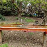 photo 2021-04-18 10-17-45