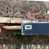 photo 2021-02-17 09-14-00