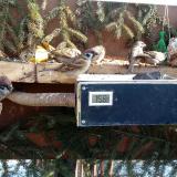 photo 2021-02-13 10-48-49