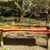 photo 2021-04-12 09-53-46