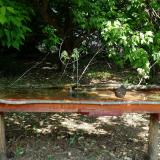 photo 2021-05-15 10-39-04