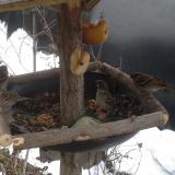 photo 2019-01-31 08-09-50