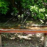 photo 2021-05-15 10-39-55