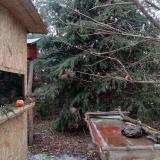 photo 2021-12-27 14-07-19