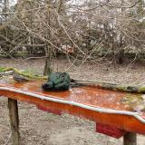 photo 2021-03-25 09-15-11