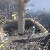 photo 2019-12-26 09-55-24