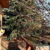 photo 2021-12-15 11-54-48