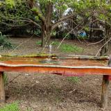 photo 2021-04-18 10-17-17