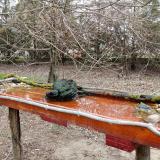 photo 2021-03-24 08-43-29