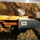 photo 2021-03-08 15-12-22