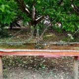 photo 2021-05-16 14-59-15