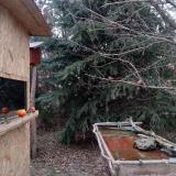 photo 2021-12-27 09-51-03