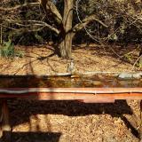 photo 2021-10-27 11-47-53