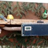 photo 2021-02-03 13-31-10