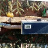 photo 2021-02-15 11-02-33