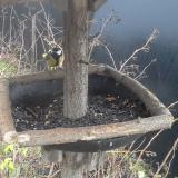 photo 2019-12-26 08-52-30