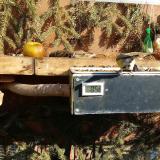 photo 2021-02-15 12-22-16