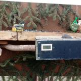 photo 2021-02-07 13-10-39