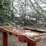 photo 2022-03-31 08-41-13