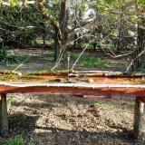 photo 2021-04-12 08-02-44