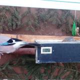 photo 2021-03-01 06-23-35