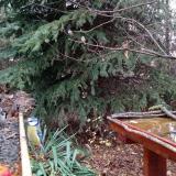 photo 2021-11-13 08-36-06