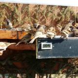 photo 2021-03-07 12-00-24