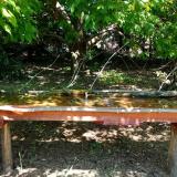 photo 2021-05-09 12-40-46