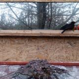 photo 2022-01-20 16-00-24