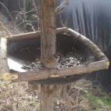 photo 2019-03-04 10-04-00