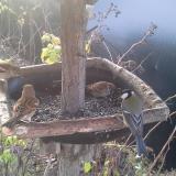 photo 2019-12-20 08-07-56