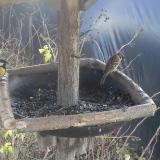 photo 2019-12-26 11-55-20