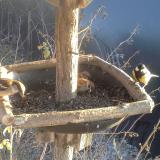 photo 2019-12-30 14-25-31