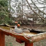 photo 2022-03-17 10-11-48