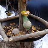 photo 2019-01-15 13-46-19